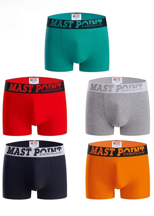 Set of five men's boxers, various colors